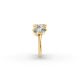 Pear Shape Diamond Anniversary Band in Gold