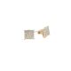 Stan Earrings  1.01   Princess Cut Diamond Sides set on 1.15gr 14k YG